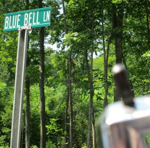 BLUE BELLE applied her brakes to get this shot (even though spelled wrong)
